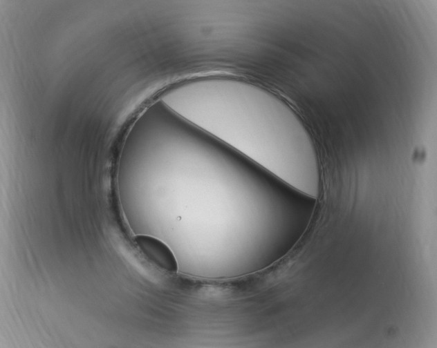 X0000113950350200909251008