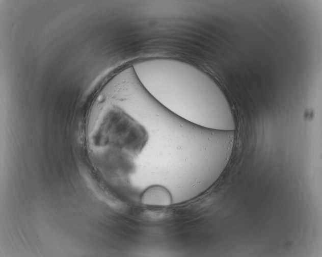X0000113950351200909251008