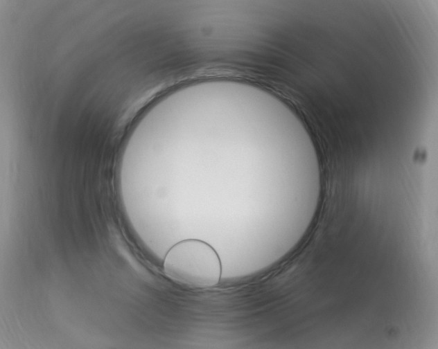 X0000113950352200909251008