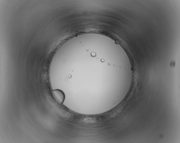 X0000113950353200909251008