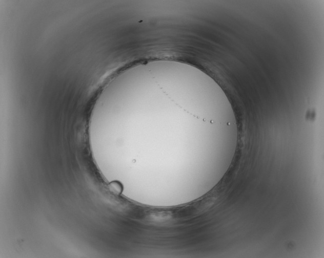 X0000113950355200909251008