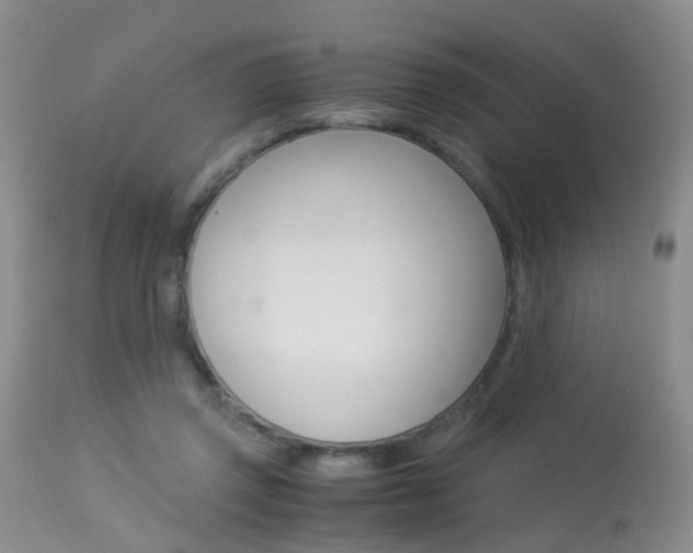 X0000113950357200909251008