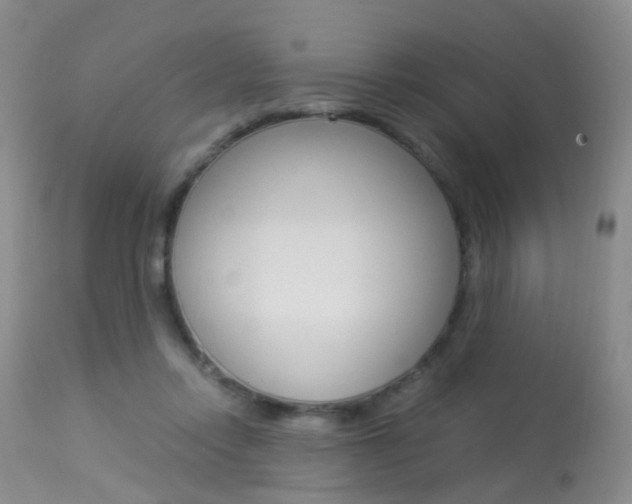 X0000113950358200909251008