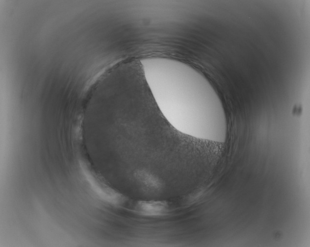 X0000113950359200909251008