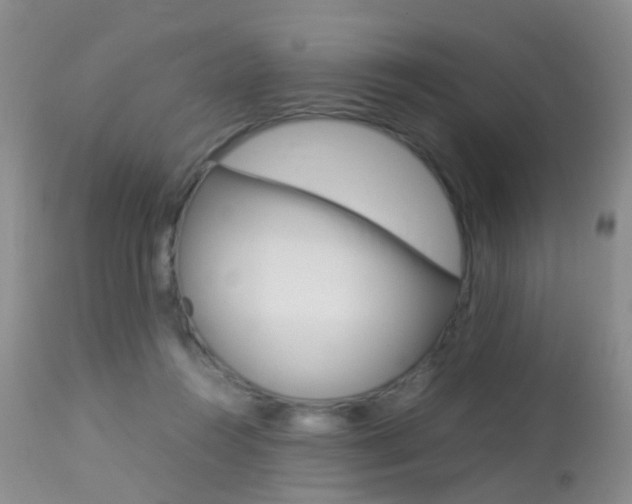X0000113950360200909251008