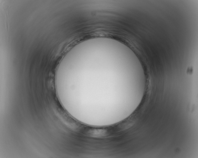 X0000113950361200909251008