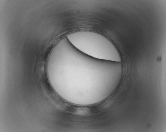 X0000113950363200909251008