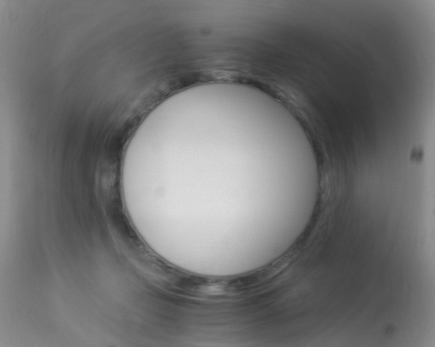 X0000113950365200909251008