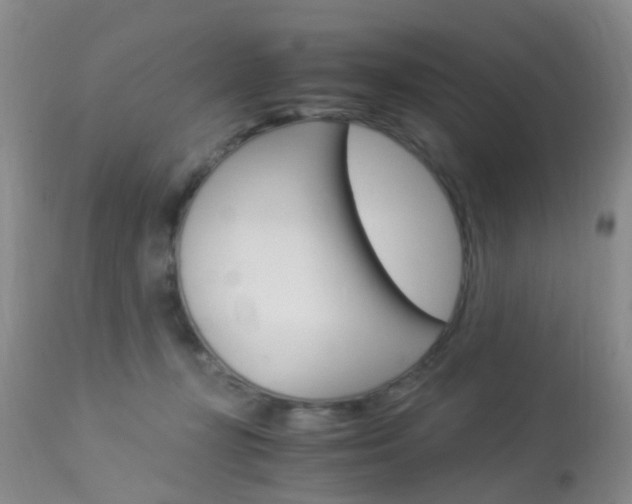 X0000113950367200909251008
