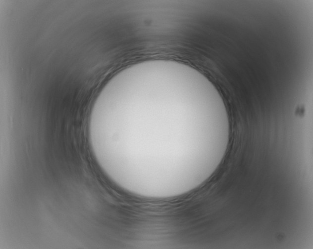X0000113950368200909251008