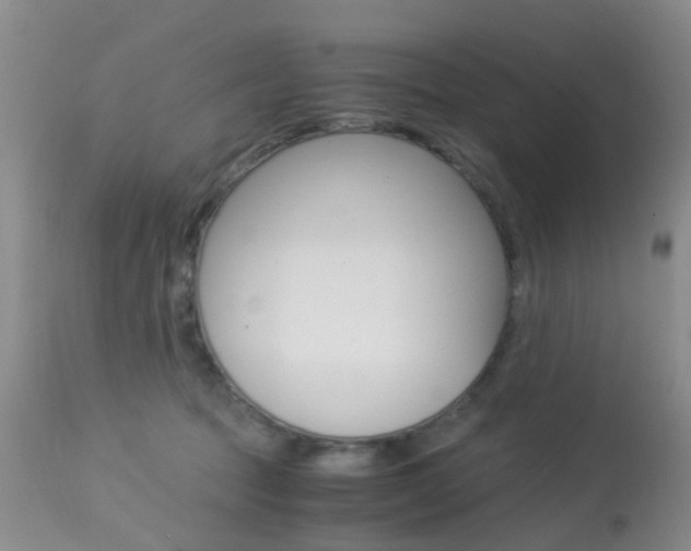 X0000113950369200909251008
