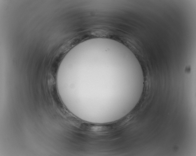 X0000113950371200909251009