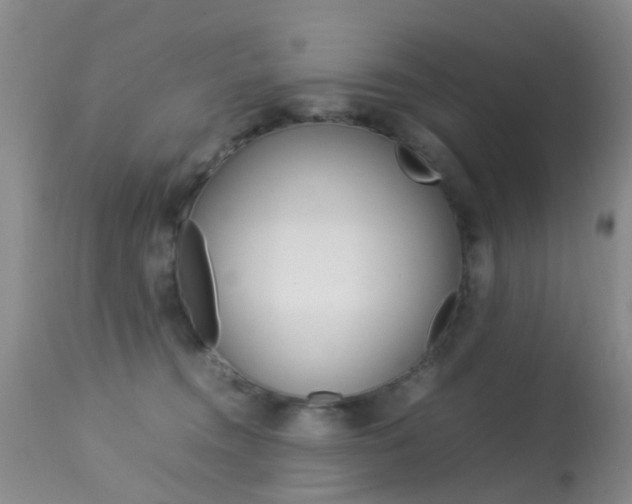 X0000113950372200909251009