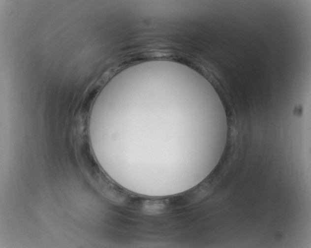 X0000113950373200909251009