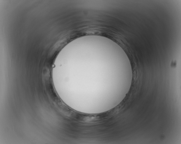 X0000113950375200909251009