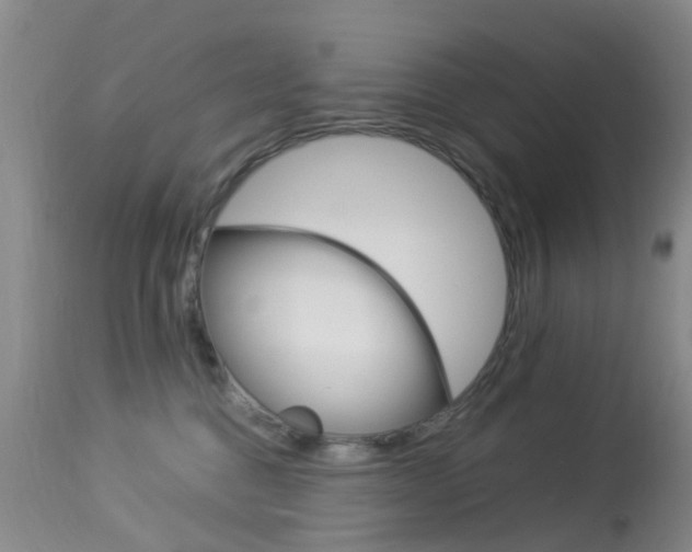 X0000113950376200909251009