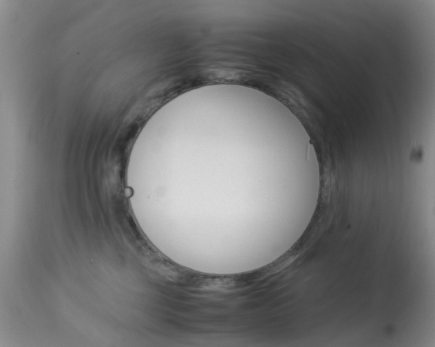 X0000113950377200909251009