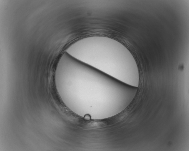X0000113950379200909251009
