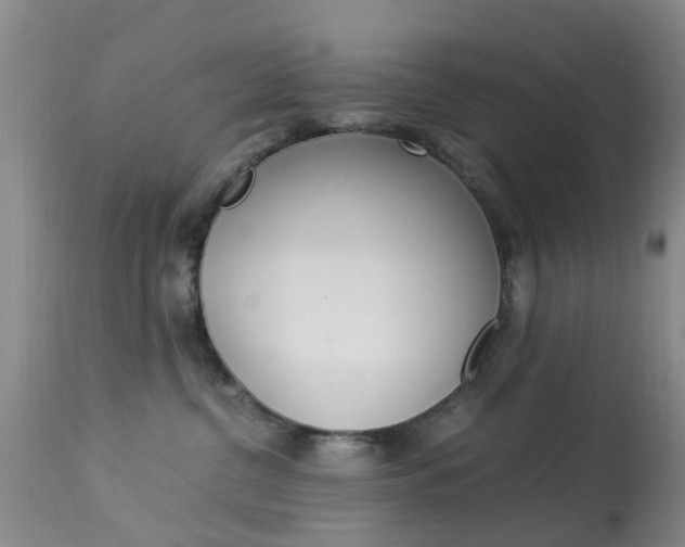 X0000113950380200909251009