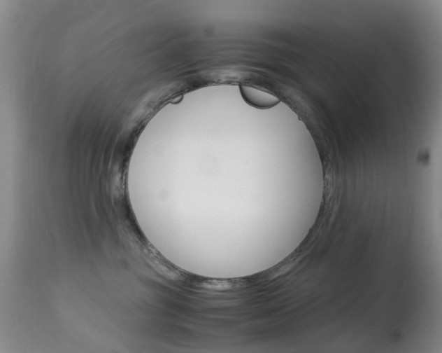 X0000113950381200909251009