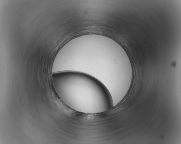 X0000113950382200909251009