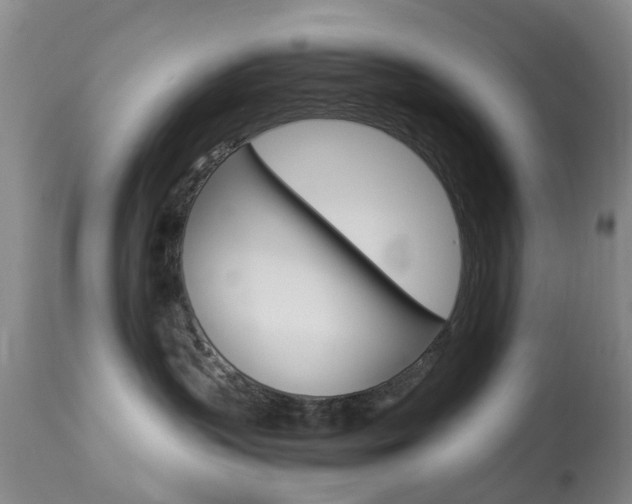 X0000113950383200909251009