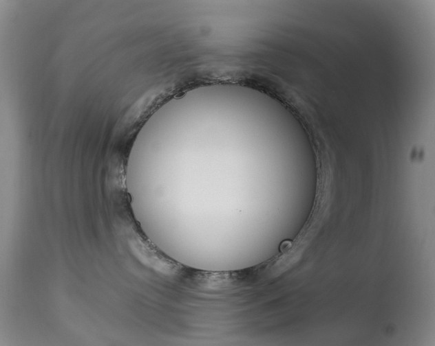 X0000113950384200909251009
