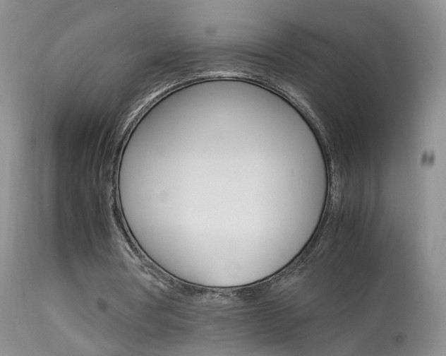 X0000113950386200909251008
