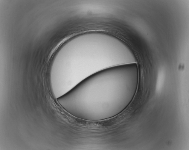 X0000113950387200909251008