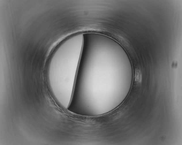 X0000113950388200909251008