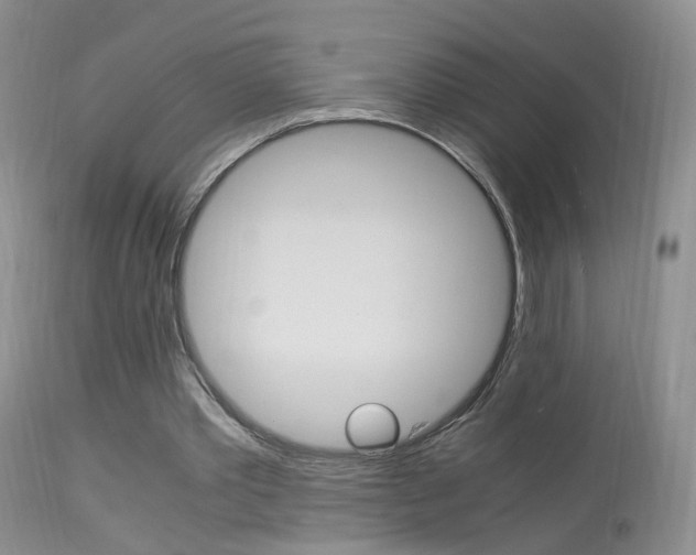 X0000113950389200909251008