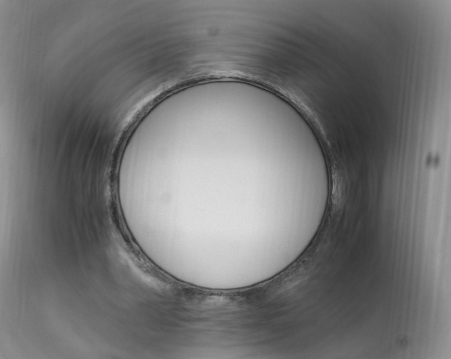X0000113950390200909251008