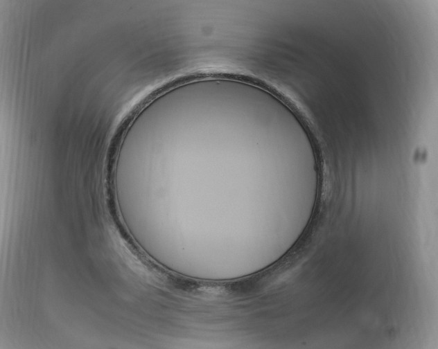 X0000113950391200909251008