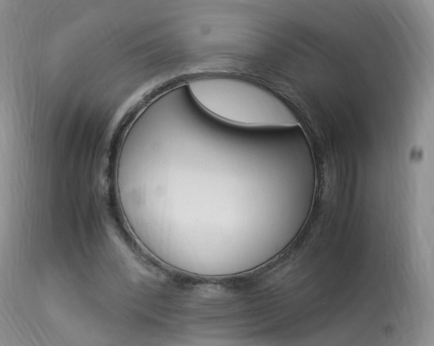 X0000113950392200909251008