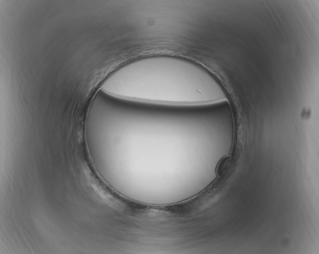 X0000113950393200909251008