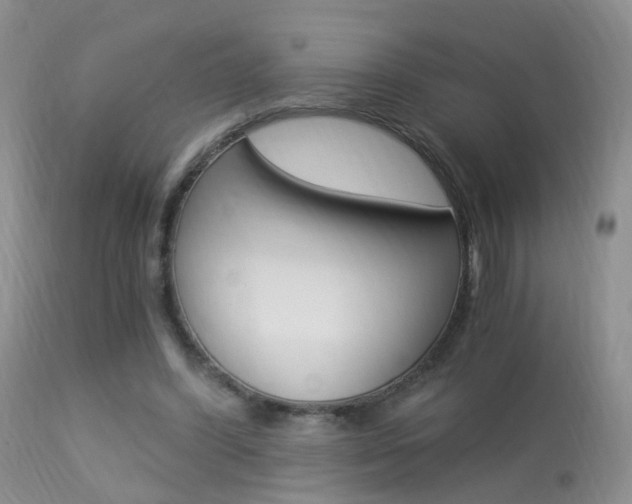 X0000113950396200909251008