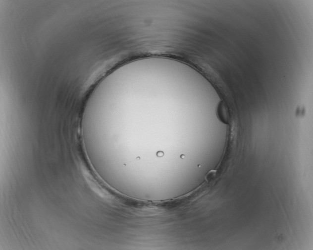 X0000113950397200909251008