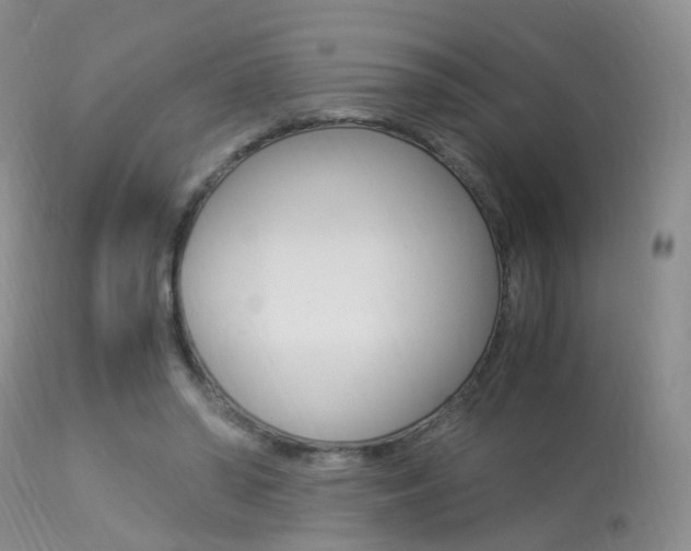 X0000113950398200909251008