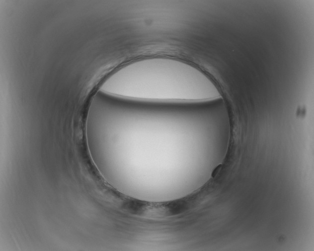 X0000113950403200909251008