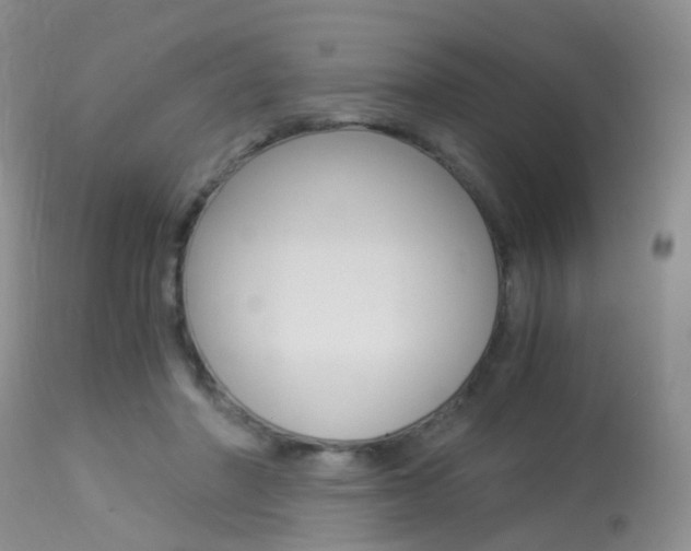 X0000113950406200909251008
