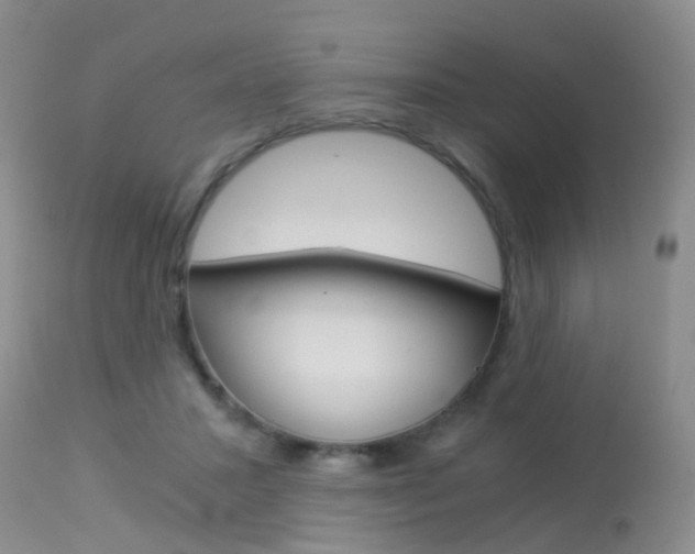 X0000113950407200909251008