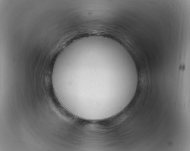 X0000113950408200909251008