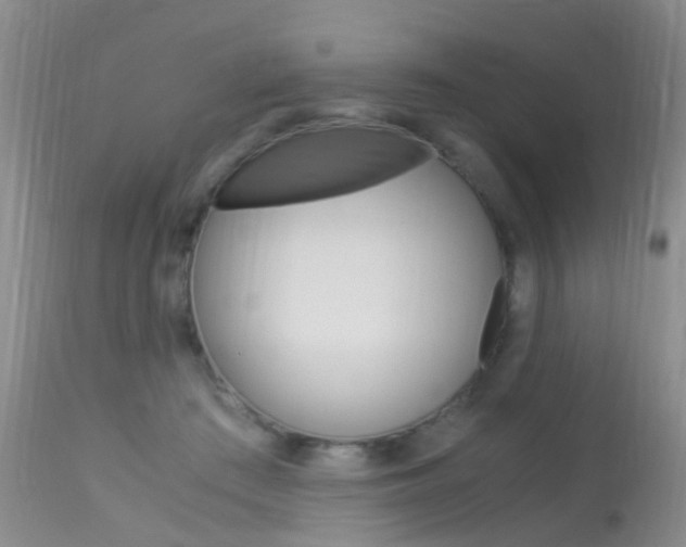 X0000113950409200909251008