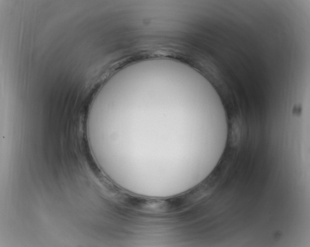 X0000113950410200909251008