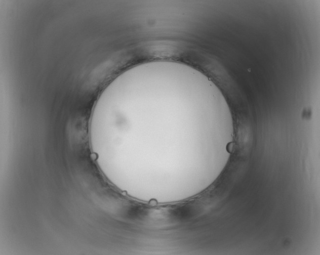 X0000113950411200909251008