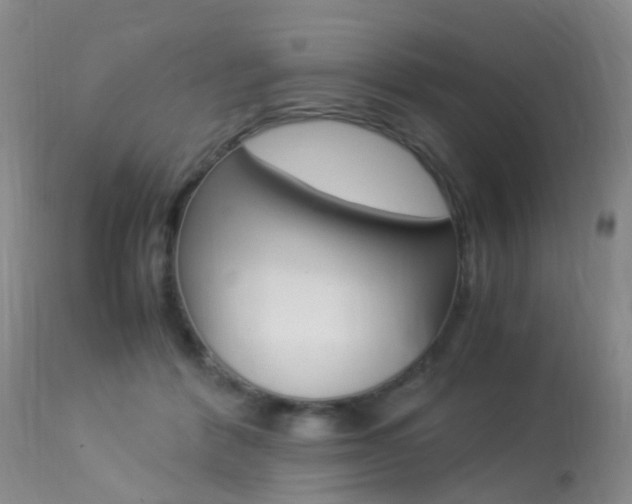 X0000113950412200909251007