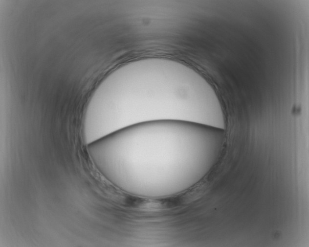 X0000113950413200909251007