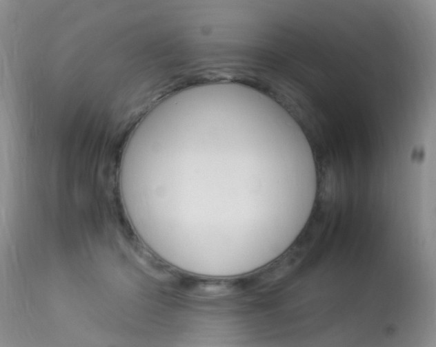 X0000113950414200909251007