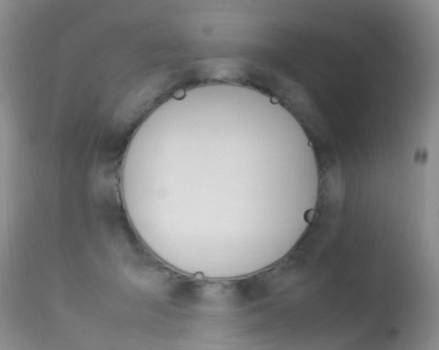 X0000113950415200909251007