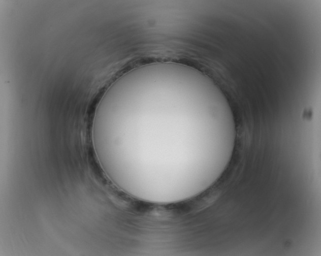 X0000113950416200909251007